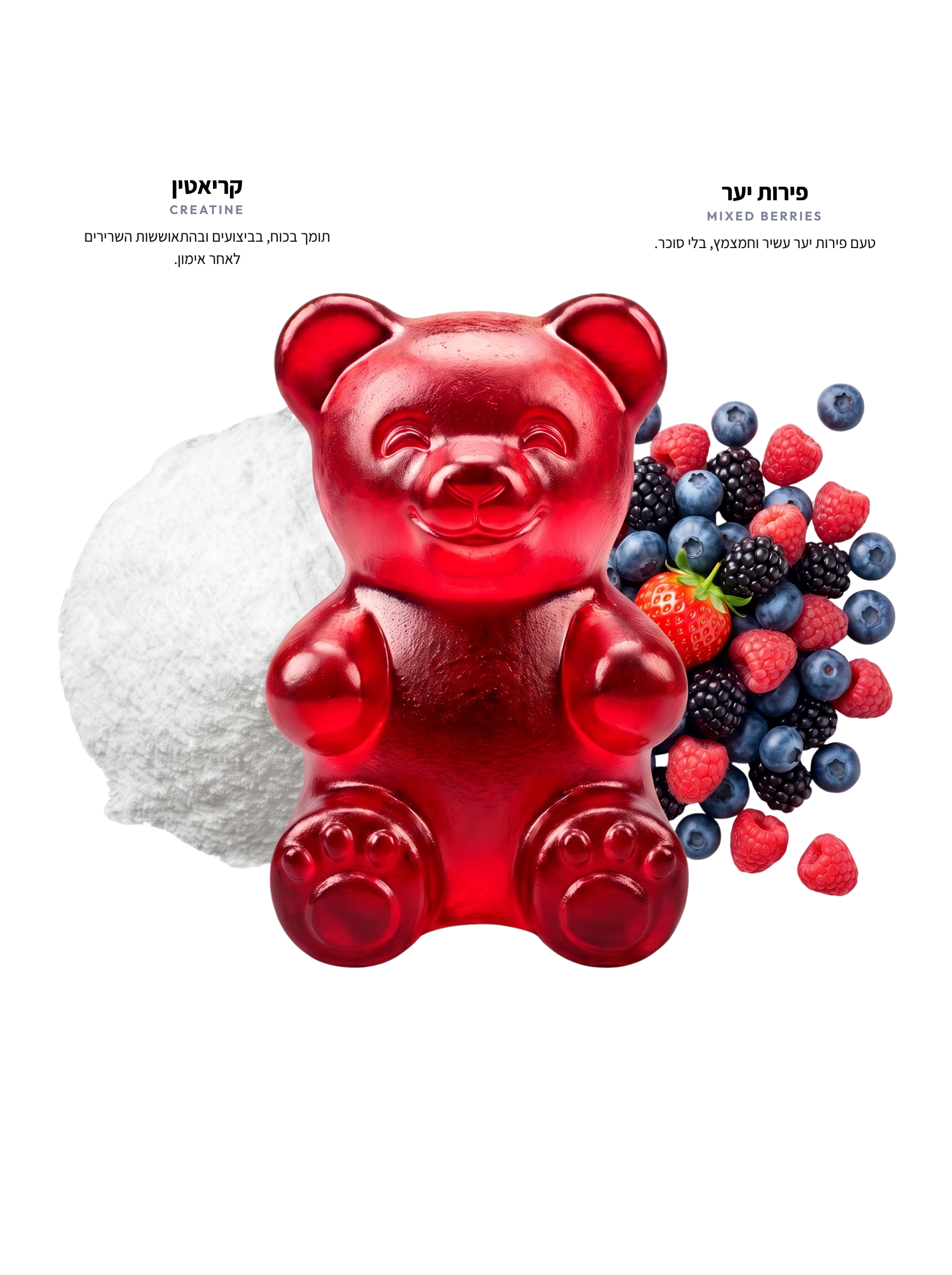 CREATINE — רכיבים עם טקסט