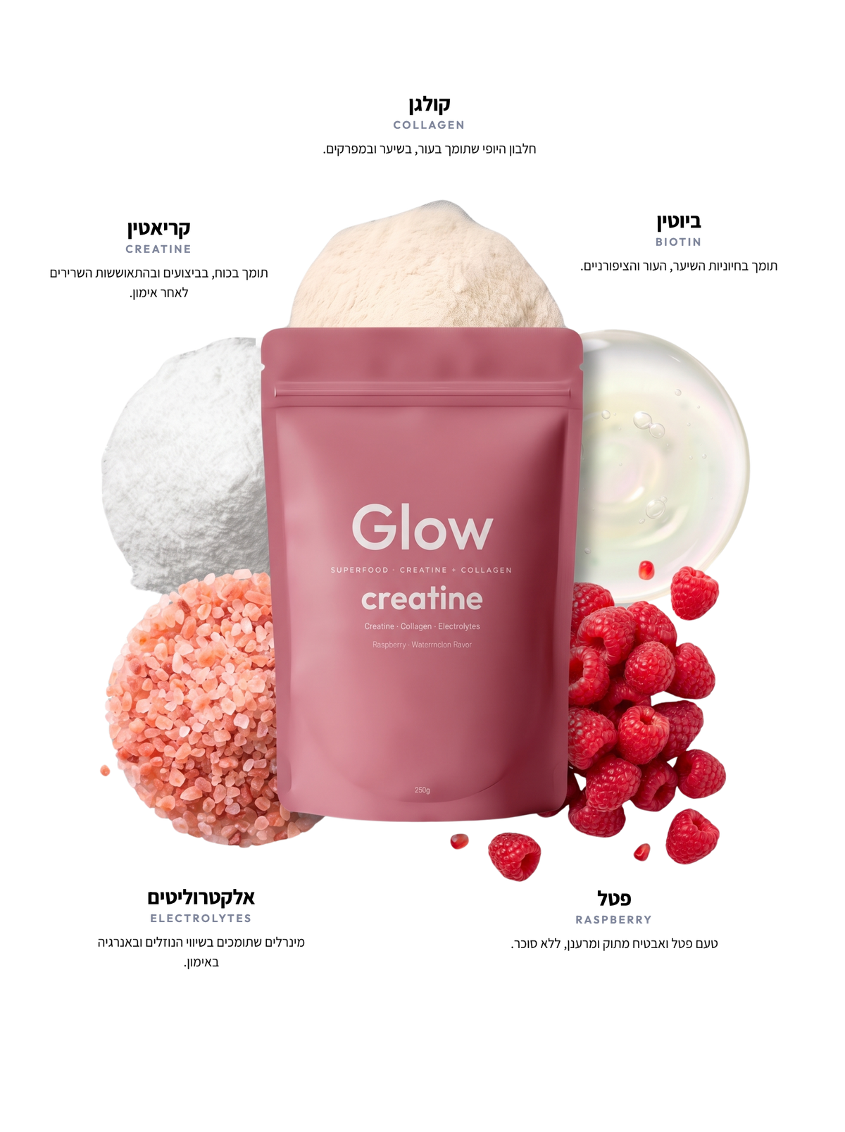 GLOW CREATINE — רכיבים עם טקסט