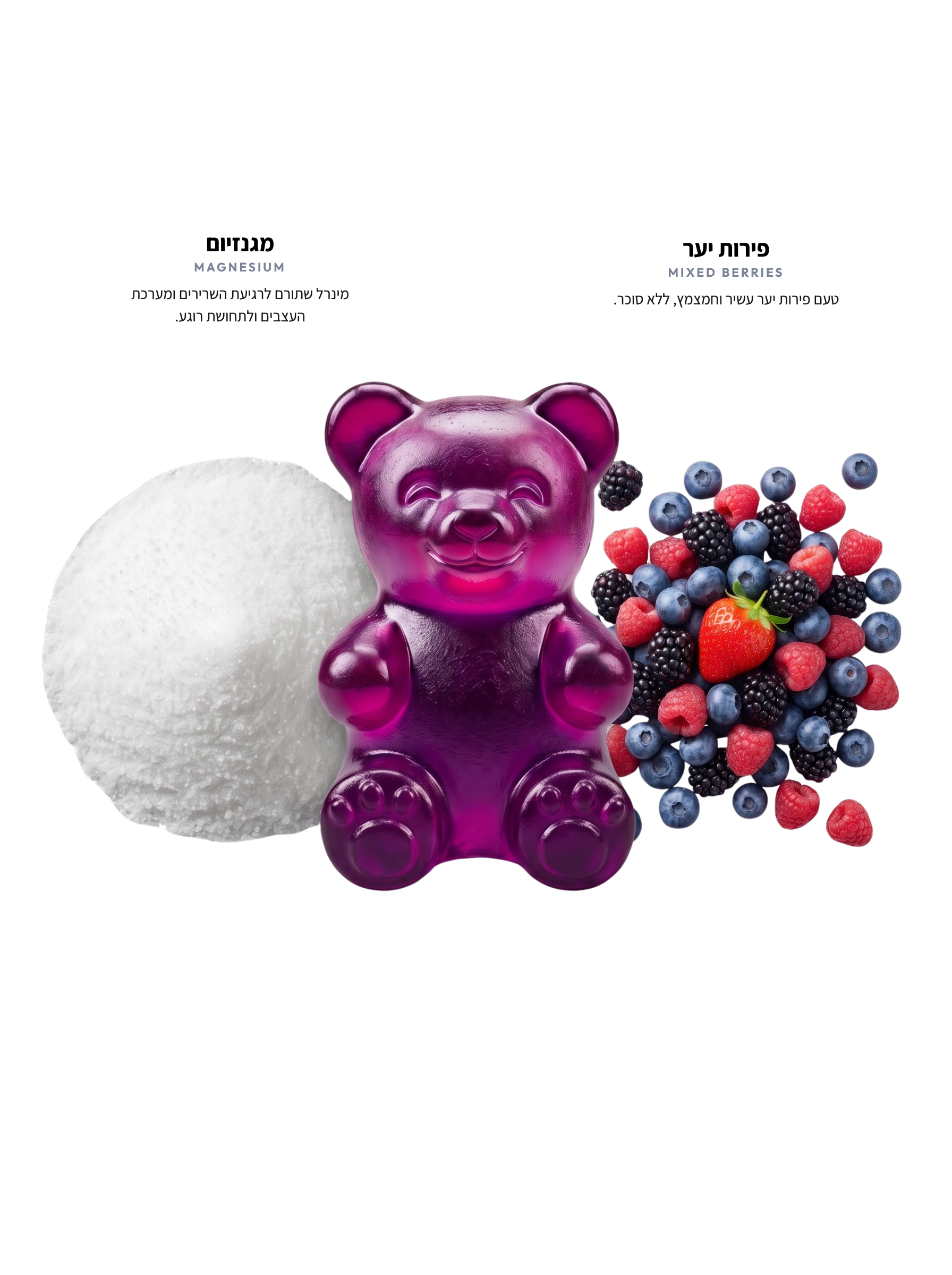 MAGNESIUM — רכיבים עם טקסט