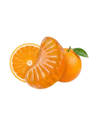 VITAMIN C — רכיבים